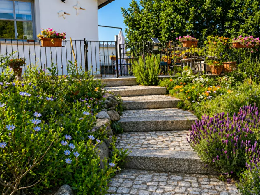 Immagine 2 di Villa in vendita  in VIA SOLE RUIU a Olbia