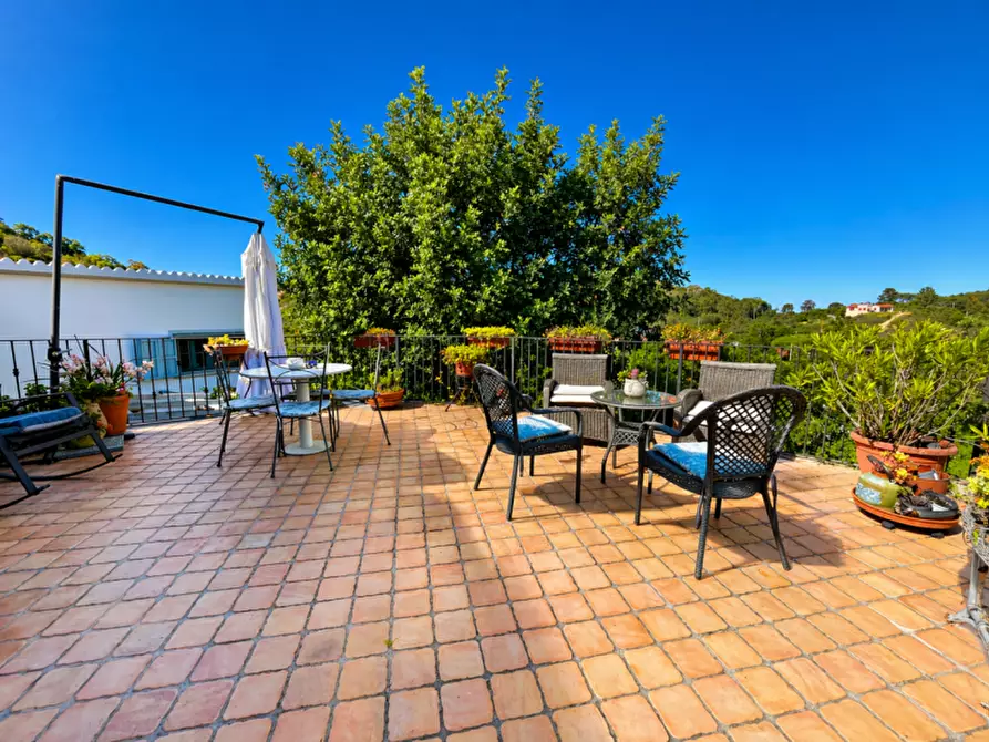 Immagine 4 di Villa in vendita  in VIA SOLE RUIU a Olbia