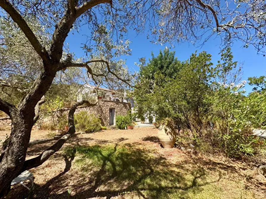 Immagine 10 di Villa in vendita  in VIA SOLE RUIU a Olbia