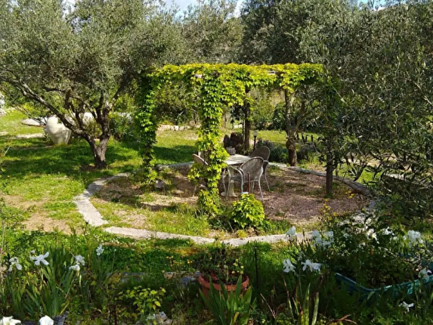Immagine 35 di Villa in vendita  in VIA SOLE RUIU a Olbia