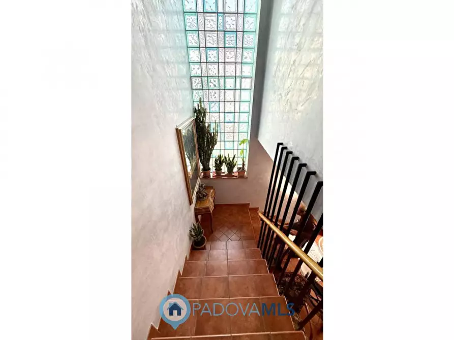 Immagine 22 di Casa indipendente in vendita  in Via Donato Bramante a Padova