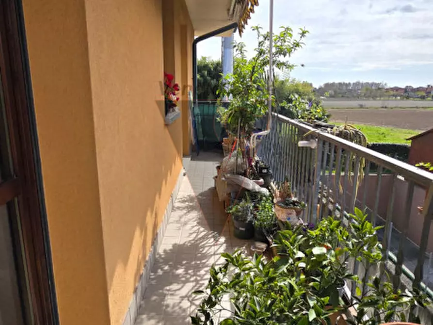 Immagine 9 di Appartamento in vendita  in Via Claudio Monteverdi a Campagna Lupia
