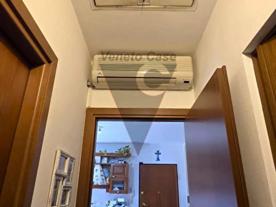 Immagine 10 di Appartamento in vendita  in Via Claudio Monteverdi a Campagna Lupia