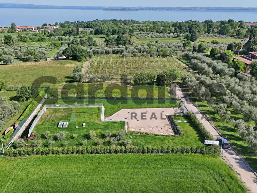 Immagine 41 di Villa in vendita  in Via San Martino a Manerba Del Garda