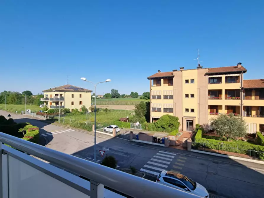 Immagine 5 di Appartamento in vendita  in Via Lucio Saltini a Carpi