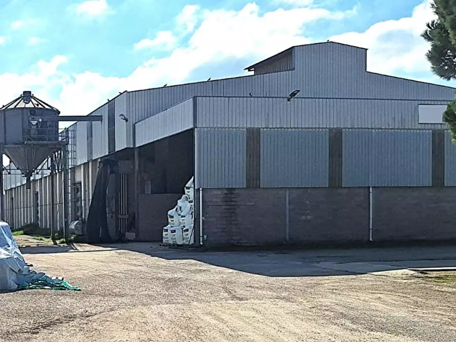 Immagine 1 di Capannone industriale in vendita  in Via dei Mattoni, 06055 Marsciano PG, Italia a Marsciano