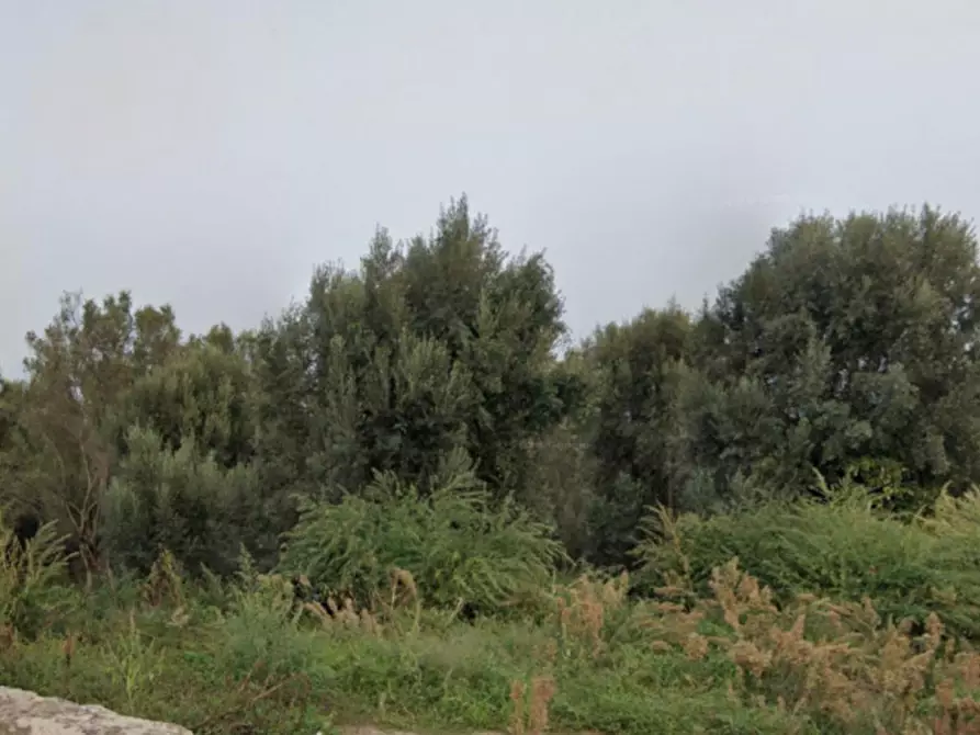 Immagine 3 di Terreno in vendita  in V. Tocco, 62, 89020 Melicuccà RC, Italia a Melicuccà
