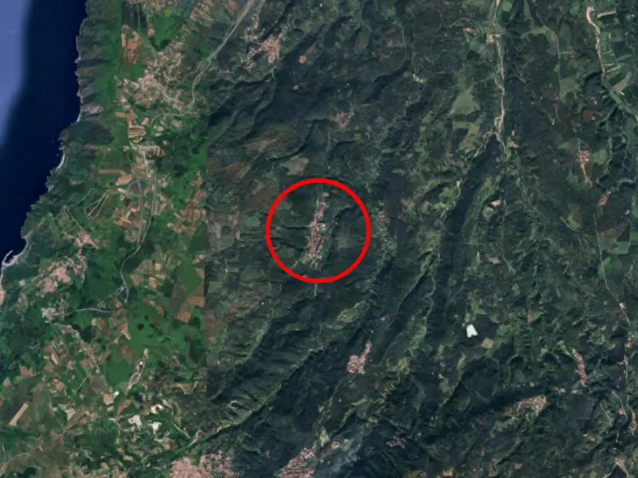Immagine 7 di Terreno in vendita  in V. Tocco, 62, 89020 Melicuccà RC, Italia a Melicuccà