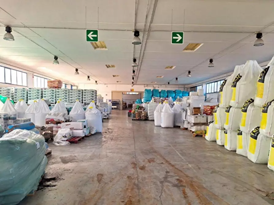 Immagine 5 di Capannone industriale in vendita  in Via Pozzuolo, 06061 Gioiella PG, Italia a Castiglione Del Lago