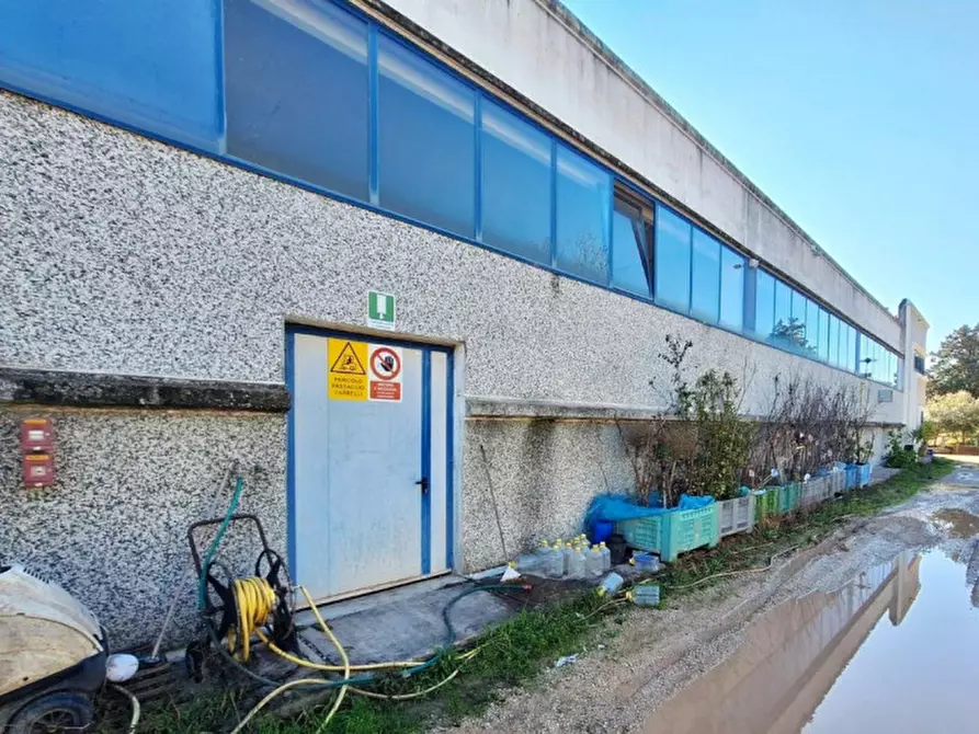 Immagine 7 di Capannone industriale in vendita  in Via Pozzuolo, 06061 Gioiella PG, Italia a Castiglione Del Lago