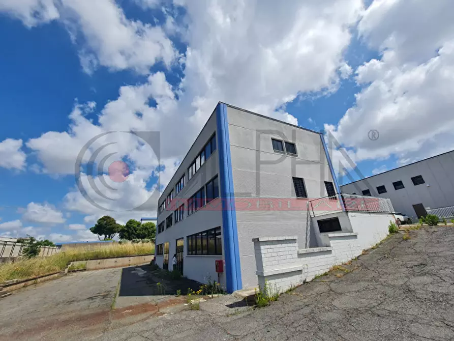 Immagine 5 di Capannone industriale in affitto  in VIA DELLE ARANCE a Pomezia