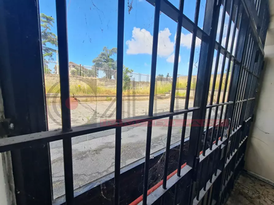 Immagine 13 di Capannone industriale in affitto  in VIA DELLE ARANCE a Pomezia