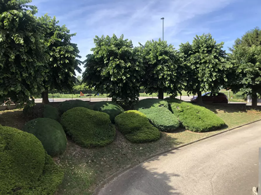 Immagine 22 di Appartamento in vendita  in Via Argine Malpensata 12/d a Casale Monferrato