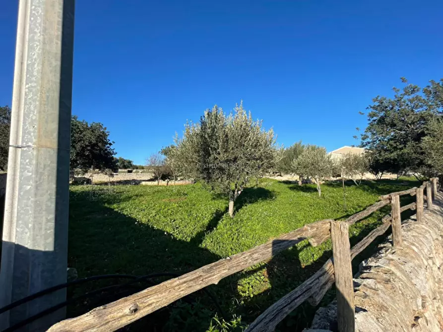 Immagine 4 di Casa indipendente in vendita  a Scicli