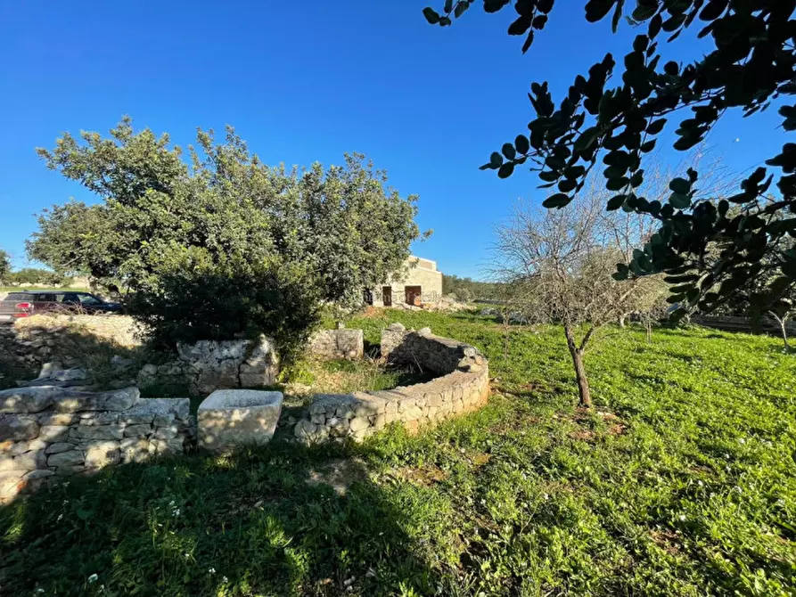 Immagine 7 di Casa indipendente in vendita  a Scicli