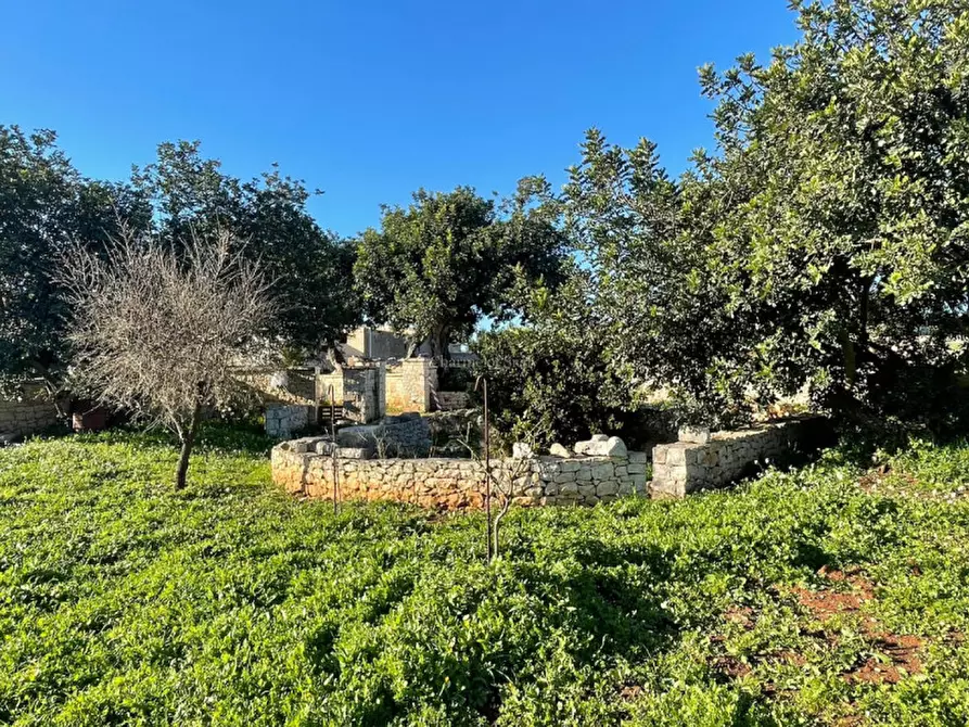 Immagine 10 di Casa indipendente in vendita  a Scicli