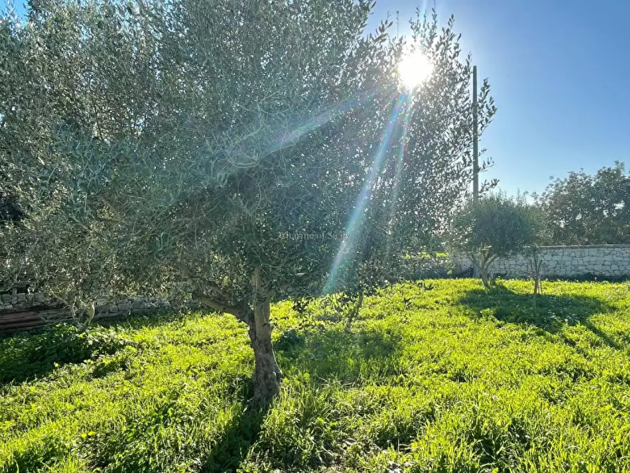 Immagine 13 di Casa indipendente in vendita  a Scicli