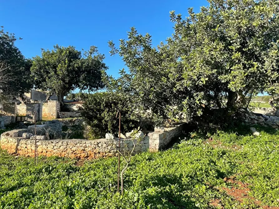 Immagine 14 di Casa indipendente in vendita  a Scicli