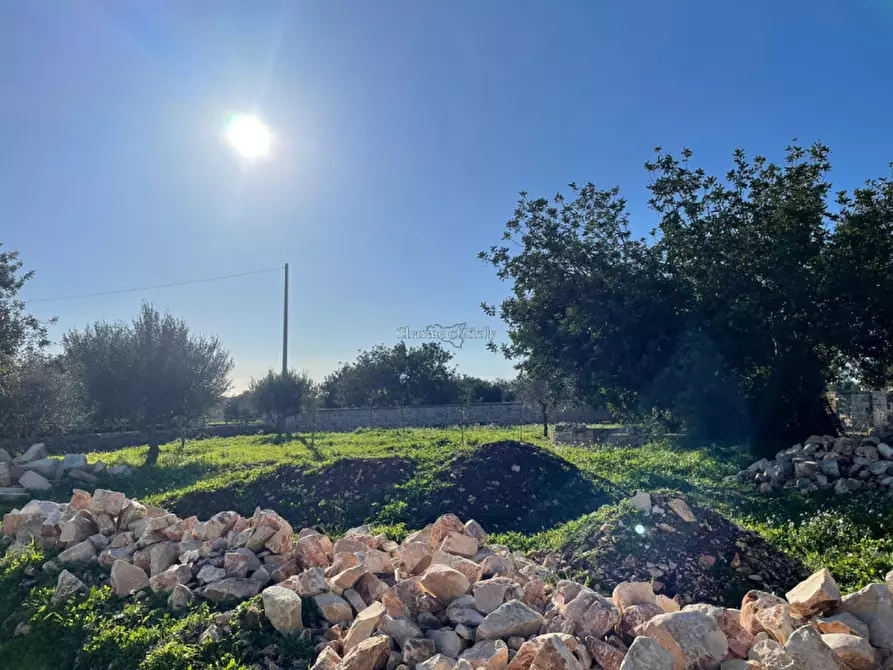 Immagine 53 di Casa indipendente in vendita  a Scicli