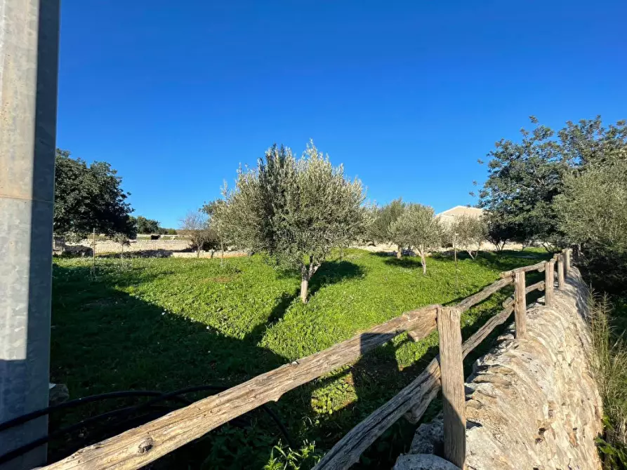 Immagine 57 di Casa indipendente in vendita  a Scicli
