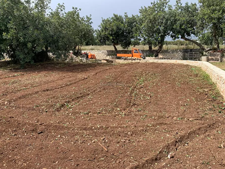 Immagine 60 di Casa indipendente in vendita  a Scicli