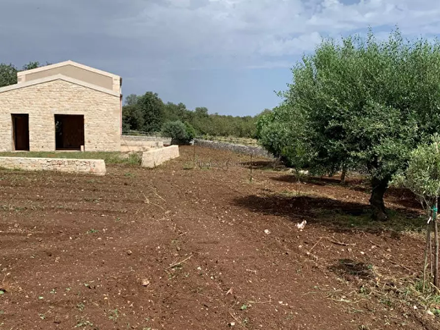 Immagine 61 di Casa indipendente in vendita  a Scicli