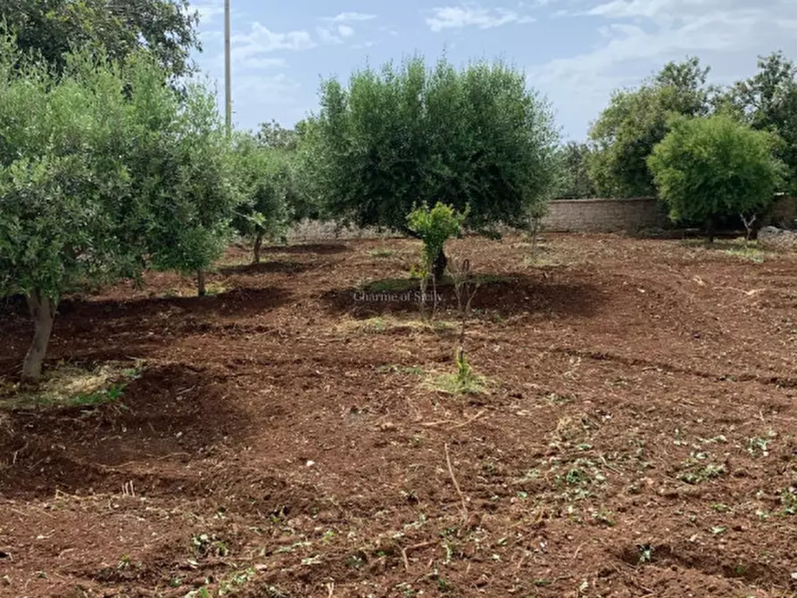 Immagine 62 di Casa indipendente in vendita  a Scicli