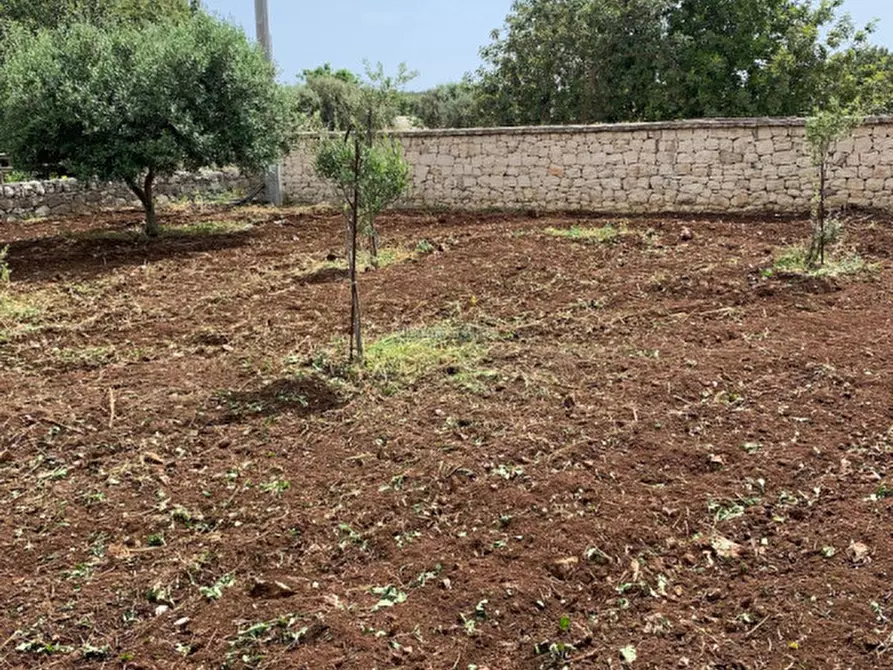 Immagine 65 di Casa indipendente in vendita  a Scicli
