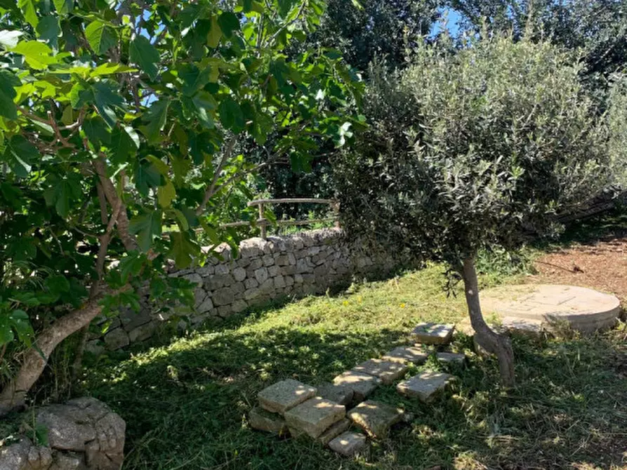 Immagine 66 di Casa indipendente in vendita  a Scicli