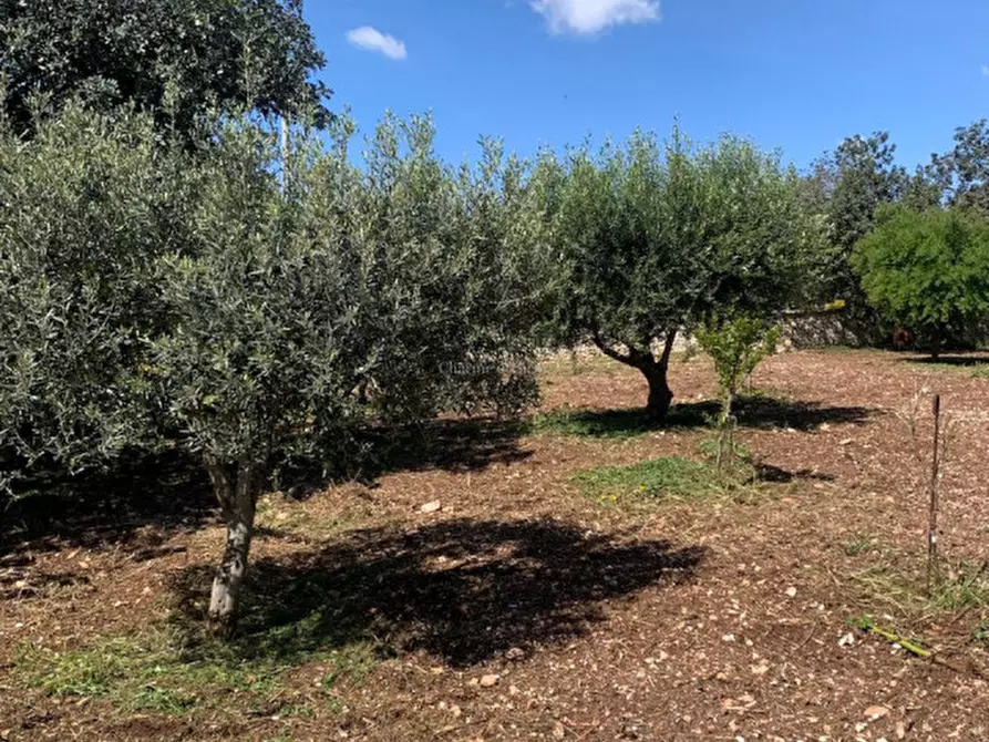 Immagine 67 di Casa indipendente in vendita  a Scicli