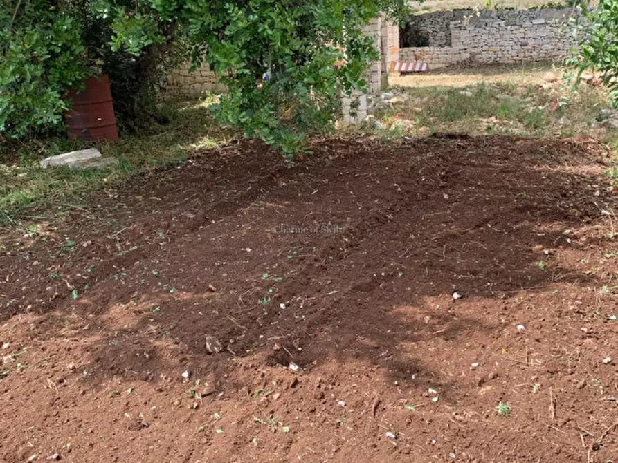 Immagine 69 di Casa indipendente in vendita  a Scicli