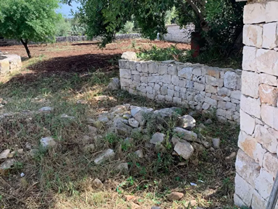 Immagine 73 di Casa indipendente in vendita  a Scicli