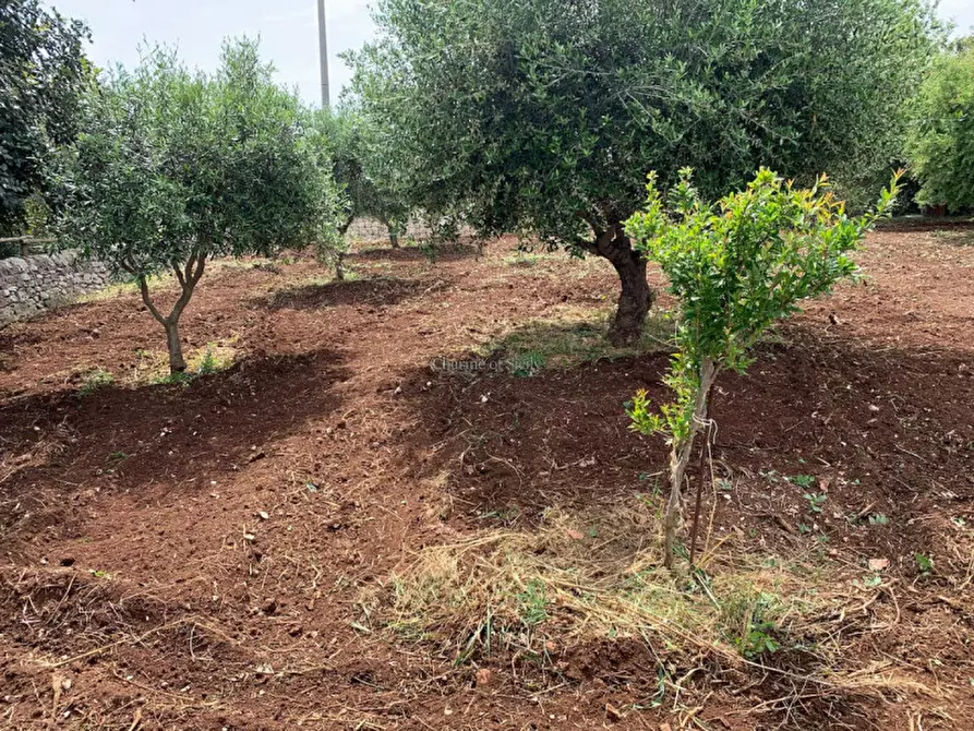 Immagine 74 di Casa indipendente in vendita  a Scicli