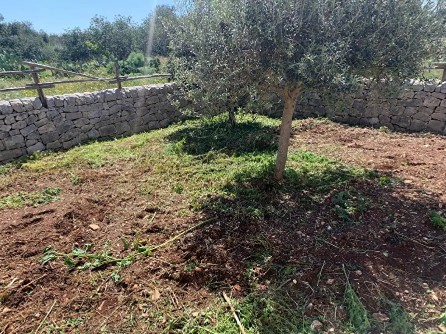 Immagine 76 di Casa indipendente in vendita  a Scicli