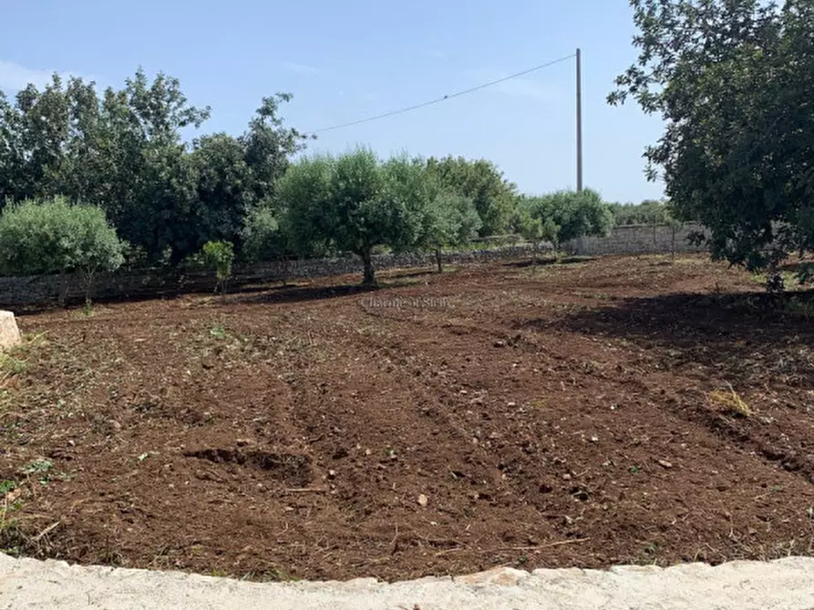 Immagine 77 di Casa indipendente in vendita  a Scicli