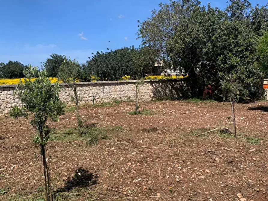 Immagine 78 di Casa indipendente in vendita  a Scicli