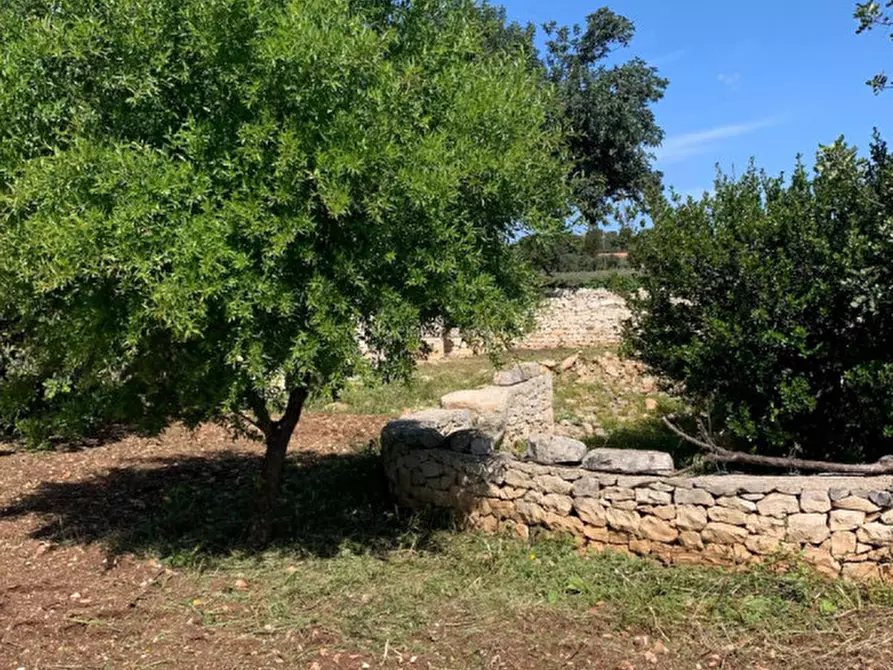 Immagine 80 di Casa indipendente in vendita  a Scicli
