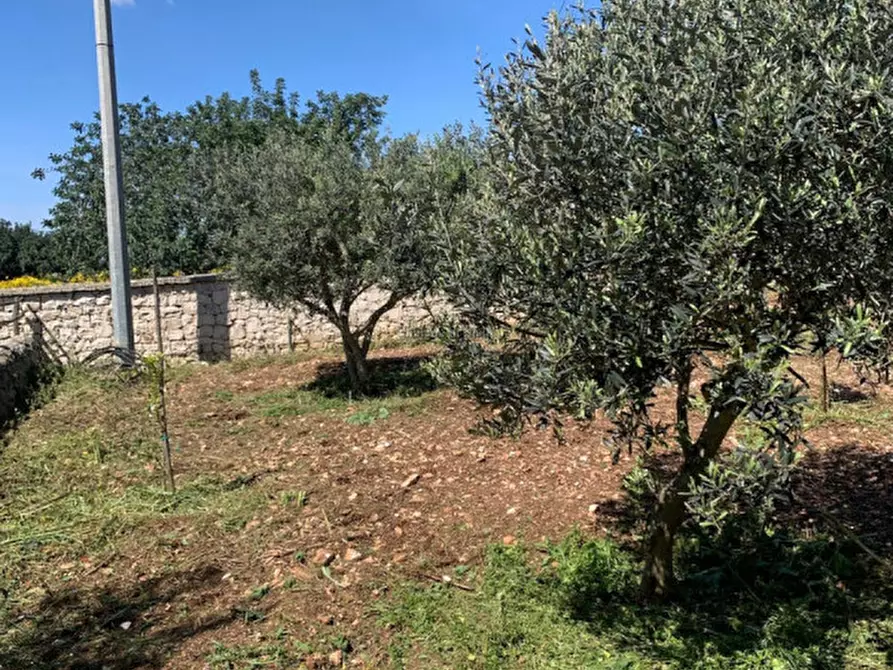 Immagine 81 di Casa indipendente in vendita  a Scicli