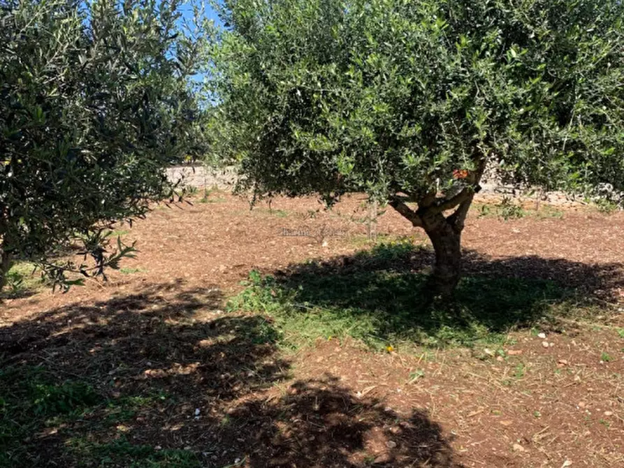 Immagine 83 di Casa indipendente in vendita  a Scicli