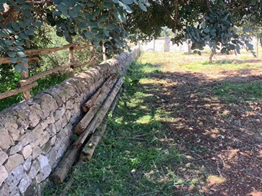 Immagine 84 di Casa indipendente in vendita  a Scicli