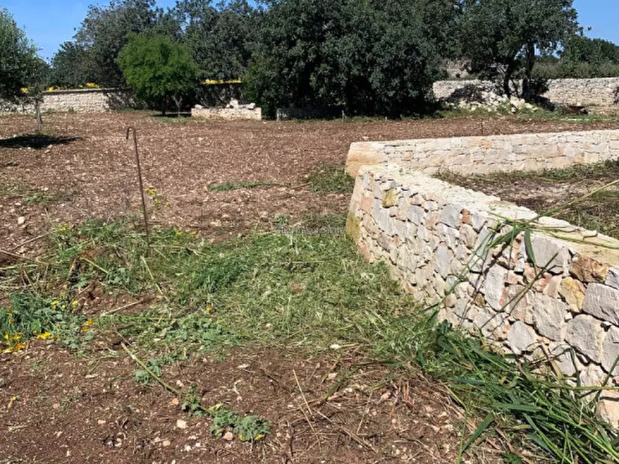 Immagine 86 di Casa indipendente in vendita  a Scicli