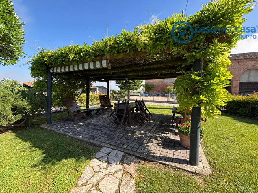 Immagine 32 di Casa indipendente in vendita  a Anguillara Veneta