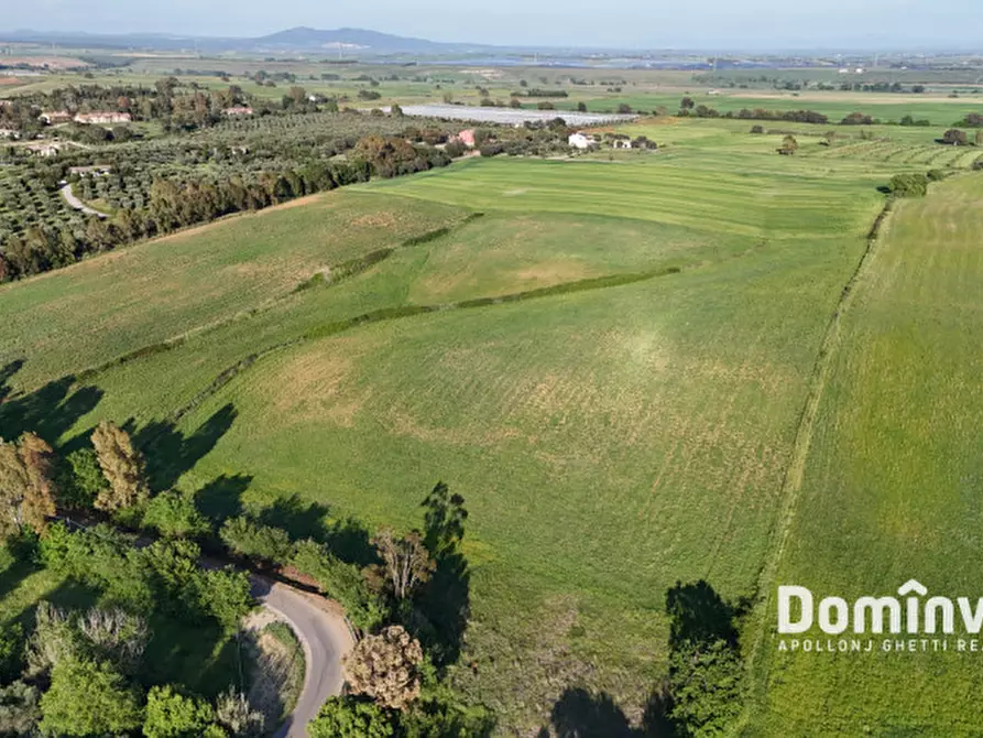 Immagine 9 di Rustico / casale in vendita  in Strada pescia fiorentina a Capalbio