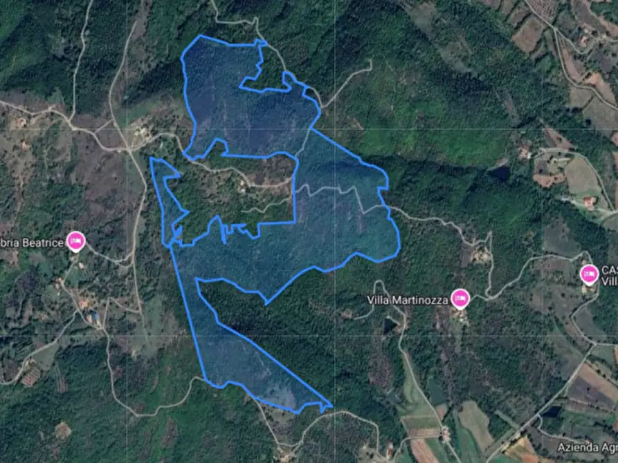 Immagine 1 di Terreno in vendita  a Lisciano Niccone