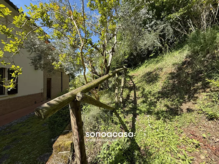 Immagine 37 di Casa indipendente in vendita  in Contrada Piano San Michele n. 14 a Mondavio