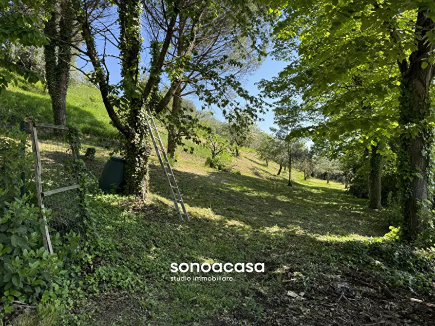 Immagine 40 di Casa indipendente in vendita  in Contrada Piano San Michele n. 14 a Mondavio