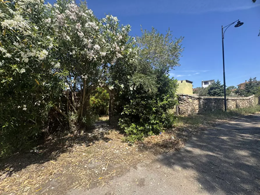 Immagine 7 di Terreno in vendita  in Via Peppino De Angelis a Olbia