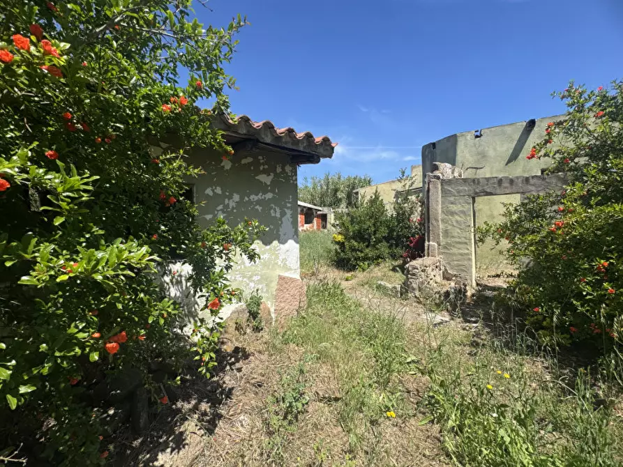 Immagine 8 di Terreno in vendita  in Via Peppino De Angelis a Olbia