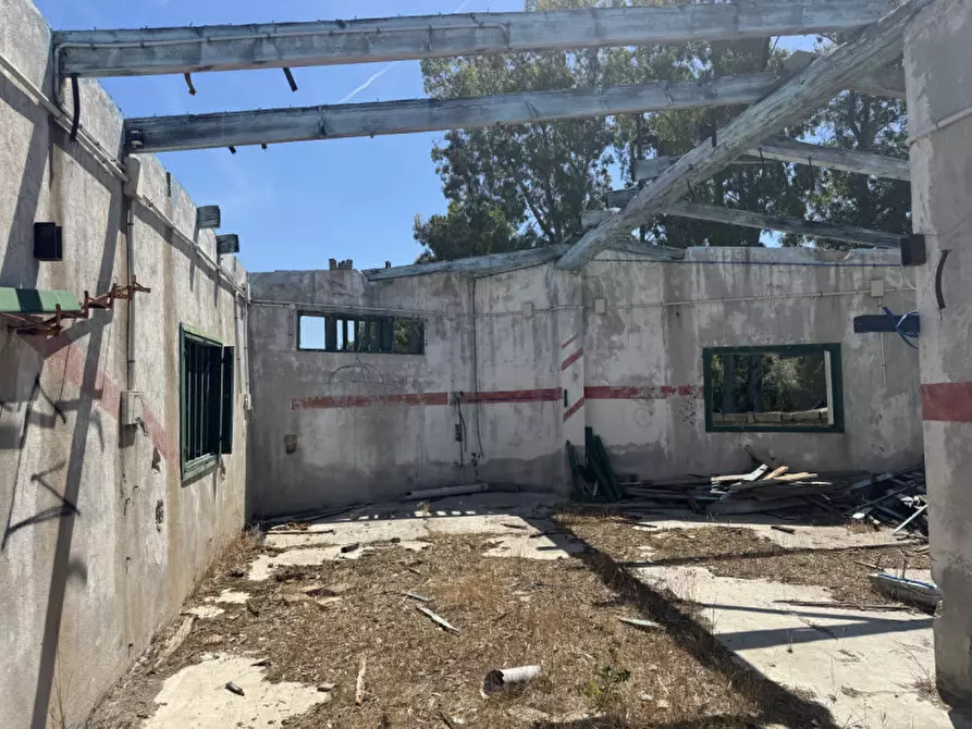 Immagine 11 di Terreno in vendita  in Via Peppino De Angelis a Olbia