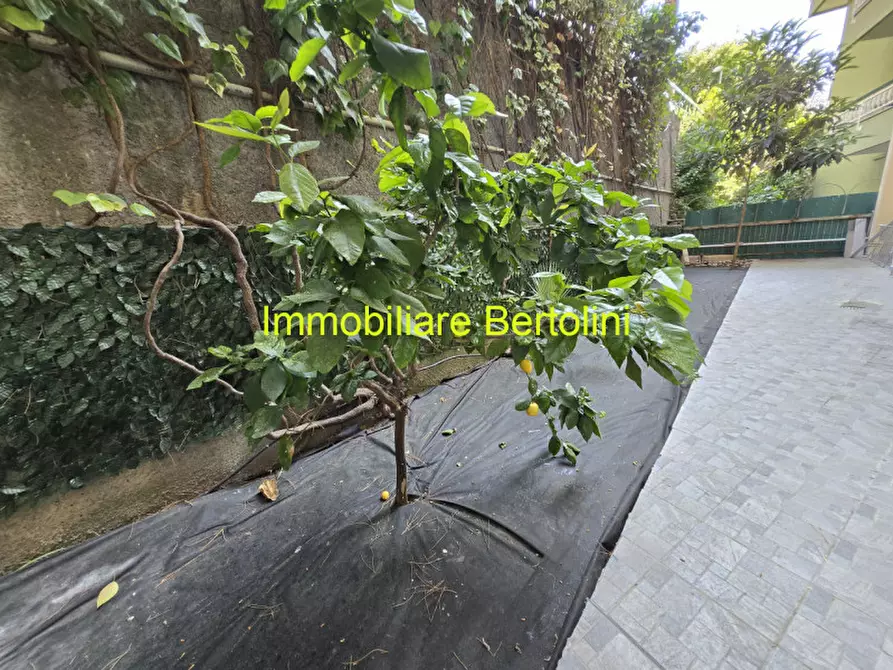 Immagine 34 di Appartamento in vendita  in VIA PADRE SEMERIA INIZIO a San Remo